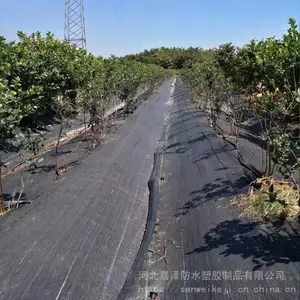 园艺地布 黑色pp防草布 保湿透气果园除草布地钉 嘉泽