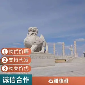 �ſڶ������ʯ������ ʯ����� ***��������ʯ����