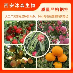 ũҵ��������������3�ų��� �߲˹���Ҷ��� ��ɫ��ĩ �������