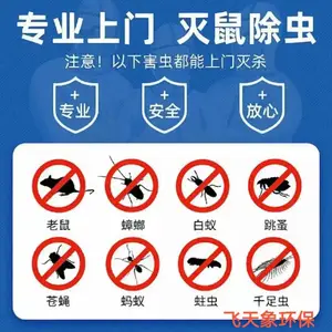 家里蟑螂怎么来的 专业团队上门除蟑螂灭蚊蝇抓老鼠