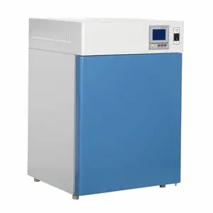 精密恒温热风烘干设备 Precision Thermostatic Dryer