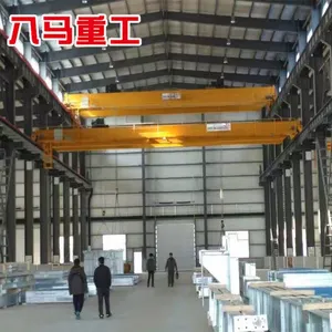 江苏八马重工专业厂家生产欧式行吊