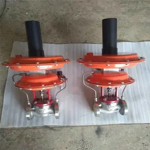 ZZYVP����ʽ���ⷧ ����ַ���ZZYVP-10P DN100��ѹ�� �����й������ѯ
