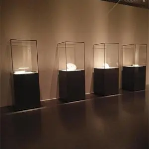 ������ң������չ��/��ҽҩ�����չ������