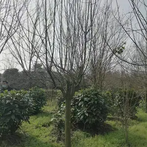 �Ĵ��������Ĺ�Ӧ���أ��߸˺�������8���ֱ������ļ� ��