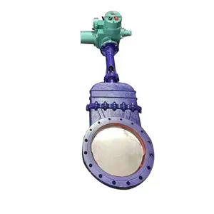 DMZ573X-16P ɡ���ְ���ʽ��բ�� DN65 �����304 ����ʽ��բ�� DMZ573X �󽬵��͵��巧 ֽ����բ����բ��