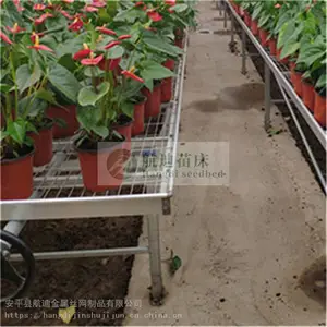 ���������ƶ��紲 �ȶ�п����������������������