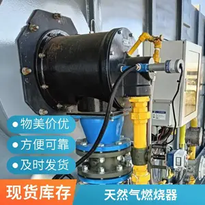岱鼎600KW天然气燃烧器炭化炉可定制源头厂家
