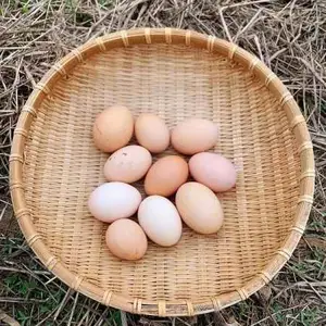 草鸡蛋销售价格