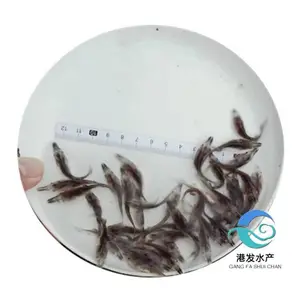 �۷��糡������������_˫Ѽɽ�����غ���Ѽ������_Ѽ�������������