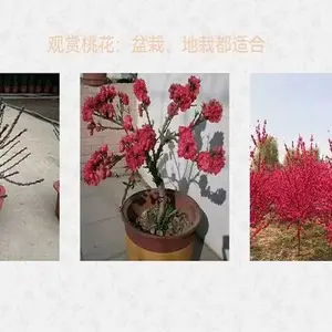 ���һ��������������һ���ľ�� �� �һ� ���ؾ�6����30Ԫ�ϳ�