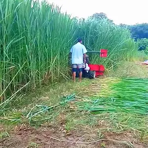 С��ˮ���ո�����һ�ߵ������ո�������ո��