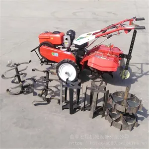 С�������� ��԰�๦��΢���� ����192�Ϳ�����