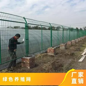 隔离防护 养殖网 绿色防护网 网格铁丝网