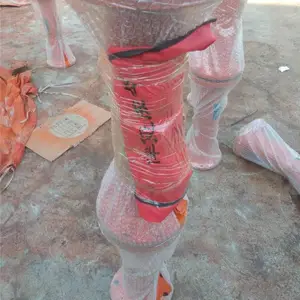 ���ú����˹��Źܵ��ÿװ�������DN200 ��ͨʽ����