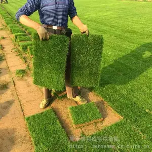 ��Ӧ��Ҷ��Ӫ������ ��·�̻����ͺ���ľ �����������Թ�Ӧ��