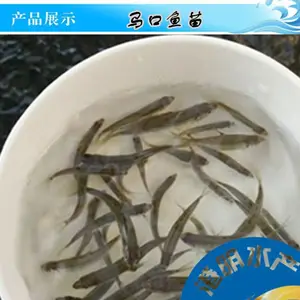���������������� ��ˮ����������� �һ����� ���� ����������ֳ��Ƶ�̳�