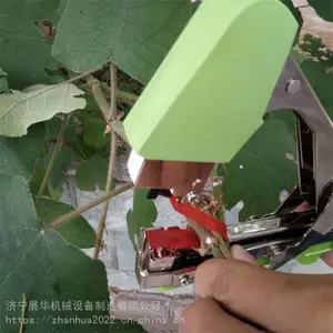 �������������� ������������� �������Ӱ�֦��