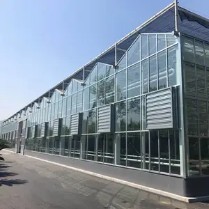 吉林巨型温室-中农金旺农业技术公司-巨型温室价格