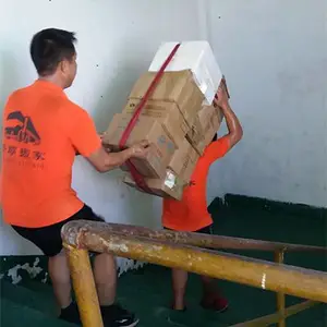 ���ڴ��������������������Ű��Ԫ�Ұ��