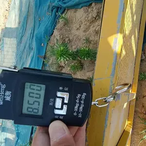 ���θְ��������� ����ʩ����ʱ�� �����ٱ߻����� һ����