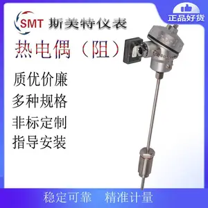 WZPK2-396热电阻 M10*1 D=6mm L=80mm 聚四氟屏蔽线 接线长1000mm