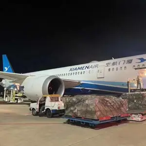 温州机场航空托运至拉萨，乌鲁木齐机场可承接超重，超大货物