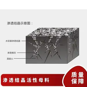 龙晨高分子聚合物涂层牢固不脱粉高温环境下保持防水效果水泥基