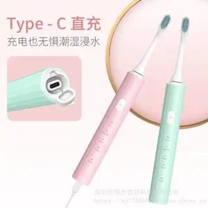 金鱼声波电动牙刷 成人Type-c防水懒人外贸***牙刷 厂家直销OEM礼品定制