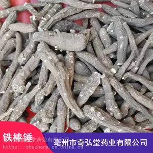 ����������õ����ҩ�İ˰ٰ�_ζ��˰ٰ���Ӧ