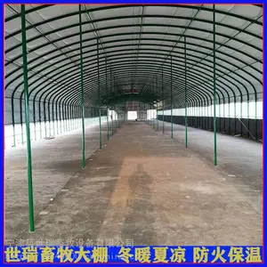 养牛大棚施工搭建 养牛场规划 养羊棚建设