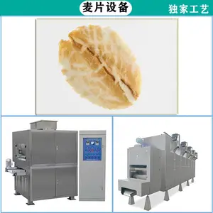 泰诺定制双轴燕麦片压片机燕麦杂粮片生产设备