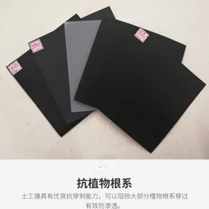 ����ѧ��ǿHDPEĤ ����ɹ��������Ĥ 2.0mm��hdpe��Ĥ