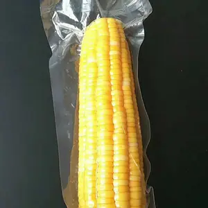 �ΰ��װ ˮ��������մ� �������װ�� ���������ϴ� ��������