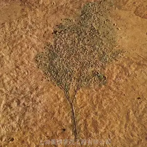 20年专做景观路面材料压花地坪全系列材料模具应有尽有 砾石聚合物