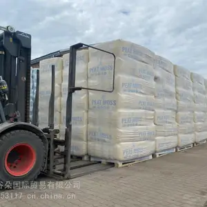 ������ֲ��ݮ�õĽ���������̿�ͽ��ڵ���Ҭ��ש