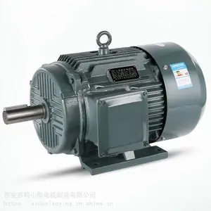 YE2-200L-4 30KW B3 ��������С�͵��