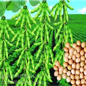 瀚小福大豆高产套餐大豆增产套餐