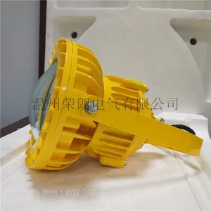 水泵房120WLED防爆灯 壁挂式LED防爆投光灯