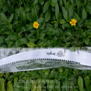 �¹����ڵ�ʨ��Dusburg���������ֶ������˹����ڹ������֦��