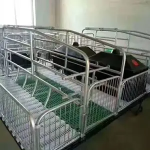 养猪场专用养猪设备双体母猪产床经济实惠
