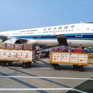 ��ʡ���մＱ�������̵��쵽�����������