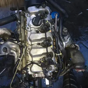 �ִ������� ;ʤ ȫ��ʤ�� ʥ��Ʒ����� ������ ������ѹ �����