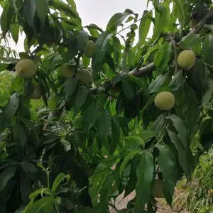 �������ؼ޽������磬1-5�������磬���ʼ޽�Ʒ�������������Ż�
