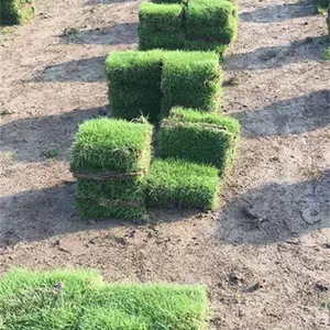 �����������ݾ��۸��Ƕ��٣�