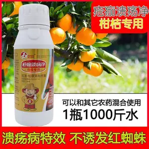 喜百农疮痂溃疡净生物杀菌治柑橘溃疡病腐烂砂皮病炭疽病生物药杀菌