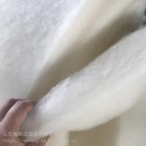 �����������������������ū�����޷����������޲�˿������Ƭ
