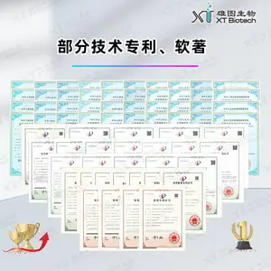 ���˶�Ͱ�ӫ�ⶨ��POCT����Լ���/��ֽ�������⾫���