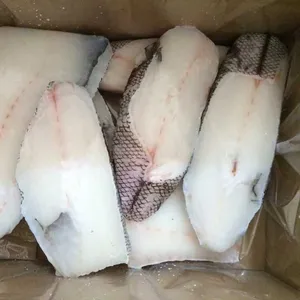 鳕鱼片速冻机 罗非鱼片速冻机 隧道式冷冻设备