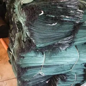 ����ֱ����ɫ���ϻ���̬�� �ӵ�԰���̻�������̬��